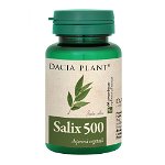 Salix 500 comprimate, Dacia Plant