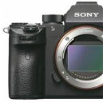 Aparat Foto Mirrorless Sony A9, Body, Filmare Ultra HD 4K, 24MP, Wi-Fi (Negru)
