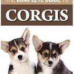 The Complete Guide to Corgis