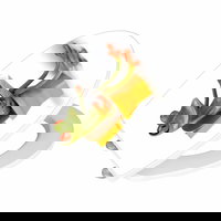 Capac de toaleta cu sistem automat de coborare News, Wenko, 45 x 38.8 cm, duroplast/acrilic, multicolor, Wenko