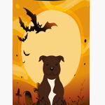 Caroline`s Treasures Halloween Staffordshire Bull Terrier Ciocolata Tall Boy izolator de băuturi Hugge Multicolore, 