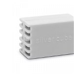 Cartus Silver Cube, 