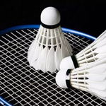 Fluturasi de badminton, set 12 buc, cu pene, 