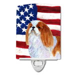 Caroline`s Treasures Statele Unite ale Americii American Flag cu engleză jucărie Spaiel STATELE UNITE ALE AMERICII ceramice Night Light Mltcl 6x4x3, 