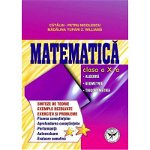 Matematica Cls 10 - Sinteze de teorie, Exemple rezolvate. Exercitii si probleme