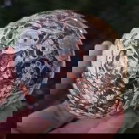 Sfera jasp rosu Breccia | M2, druzy.ro - Cristale, Home Deco