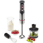 Blender de mana Trisa Professional Mix 4 in 1, 650 W, Inox, 4 accesorii