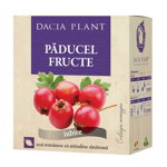 Ceai de Paducel fructe , Dacia Plant