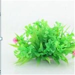 Planta decorativa pentru acvariu Cardamine Lyrata Enjoy 10cm