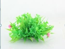 Planta decorativa pentru acvariu Cardamine Lyrata Enjoy 10cm
