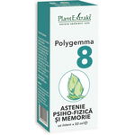 Polygemma 8 Astenie psiho-fizica si memorie 50 ml, PlantExtrakt