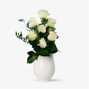 Buchet de 7 trandafiri albi - Standard, Floria