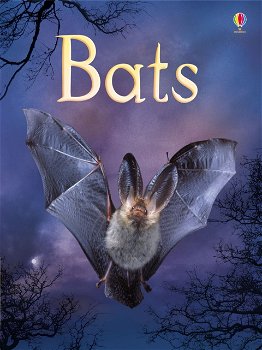 Usborne Beginners - Bats, Usborne