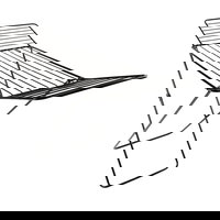 Uscător De Rufe Vertical, Homeware