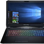 Laptop Maguay P170X (Procesor Intel® Core™ i7-8750H (9M Cache, up to 4.10 GHz), Coffee Lake, 17" FHD, 32GB, 1TB HDD + 512GB SSD, nVidia GeForce GTX 1060 @6GB, Negru)