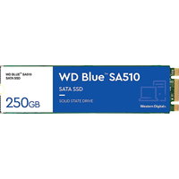 SSD WD Blue SA510 250GB SATA-III M.2 2280