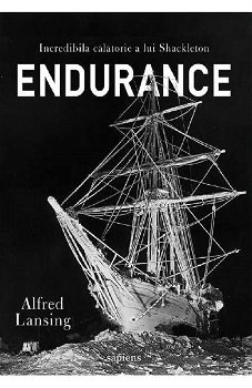 Endurance. Incredibila calatorie a lui Shackleton, Grupul Art