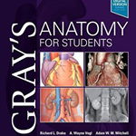 Gray's Anatomy for Students