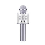 Microfon karaoke SIKS® profesional cu boxa inclusa