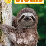 Sloths, 