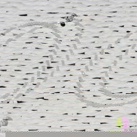 Colier amazonit pietre micro fatetate 2mm si argint 925, StoneMania Bijou