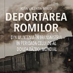 Deportarea romilor din Muntenia in Transnistria in perioada celui de-al doilea razboi mondial - Ioan Valentin Negoi, Cetatea de Scaun