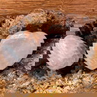 Inima mini cuart roz mini m2, druzy.ro - Cristale, Home Deco