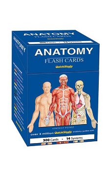 Anatomy Flash Cards (Quickstudy (Flash Cards))