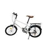 Bicicleta pentru copii cu portbagaj cadru metalic 20 inch, Roben Toys