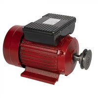 Motor electric, monofazat, Micul fermier, GF-1159, fonta, 3 KW