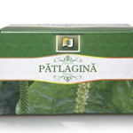 Ceai de Patlagina, 20dz - Stef Mar, StefMar