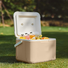 Lada frigorifica cu maner pentru camping, 5L, albastra, BFN