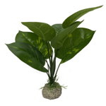 Planta Artificiala Laroy Anubias 1 Verde 24 cm 242/468272