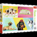 Trefl - Puzzle animale Catelusi in culori neon , Puzzle Adulti, piese 1000, Multicolor