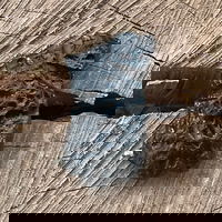 Tectita neagra, meteorit piatra bruta, tektit m2, DRUZY