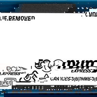 Kingston NV2 1TB M.2 2280 PCI-E x4 Gen4 NVMe SSD (SNV2S/1000G)