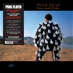Pink Floyd - Delicate Sound Of Thunder [LP 2017] (2vinyl)