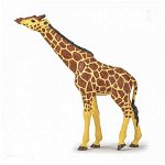 Papo Figurina Girafa Cu Cap Ridicat, Papo
