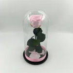Trandafir Criogenat Natural, pe pat de petale naturale, în cupolă mică de sticlă cu bază neagră - Roz Pal