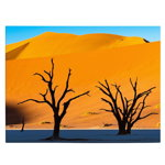 Tablou peisaj copaci in desert - Material produs:: Poster pe hartie FARA RAMA, Dimensiunea:: 80x120 cm, 