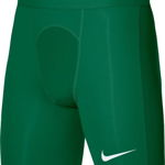 Pantaloni scurti, Nike, Verde, L INTL