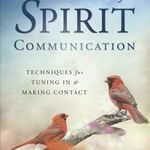 Secrets of Spirit Communication