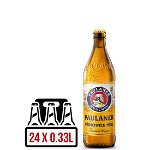 Paulaner Münchner Hell BAX 24 st. x 0.33L, Paulaner