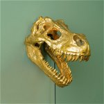 Lampă de perete, Dinozaur auriu, Rexy, 38 x 19.5 x 26.5 cm , WernerVoss