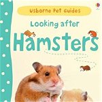 Looking after hamsters