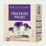 Ceai de Trei Frati Patati, Dacia Plant
