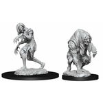 Miniaturi Nepictate Pathfinder - Annis Hag & Green Hag, Pathfinder