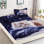 Husa de pat cu elastic + 2 Fete de Perna, Night Cat, JOJO HOME