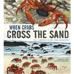 When Crabs Cross the Sand, 