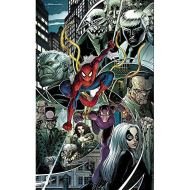 The Amazing Spider-Man Vol. 5